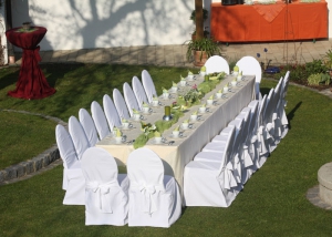 party13_gr.jpg